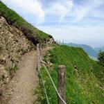 der Walenpfad ist wirklich ein schöner Höhenweg