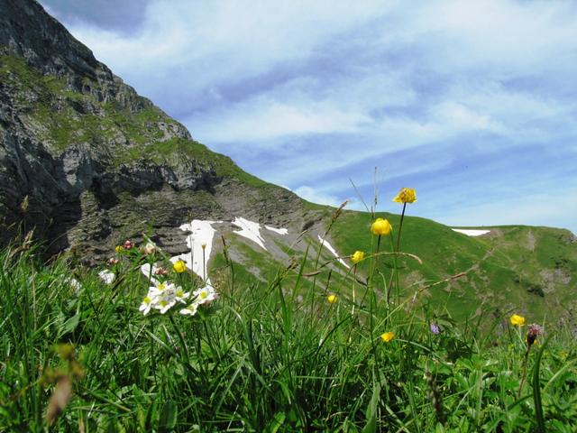 der Bergfrühling, ach wie lieben wir ihn