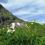 der Bergfrühling, ach wie lieben wir ihn