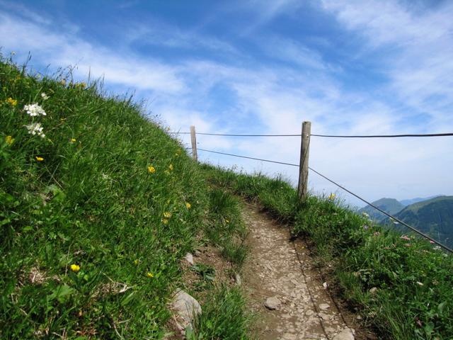 weiter geht unsere schöne Frühlingswanderung auf guten Pfaden auf dem Walenpfad