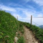 weiter geht unsere schöne Frühlingswanderung auf guten Pfaden auf dem Walenpfad