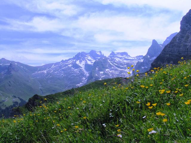 Blick zurück zum Ruchstock, Engelberger Rotstock und Chaiserstuel dort oben waren wir auch schon