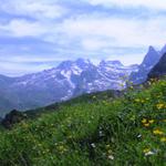 Blick zurück zum Ruchstock, Engelberger Rotstock und Chaiserstuel dort oben waren wir auch schon