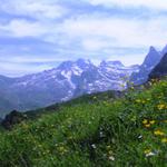 Blick zurück zum Ruchstock, Engelberger Rotstock und Chaiserstuel dort oben waren wir auch schon