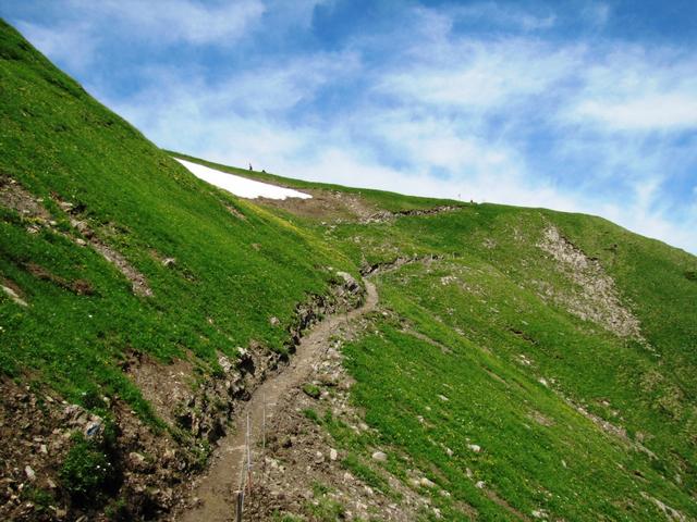 auf dem Weg zum Aussichtspunkt Walegg