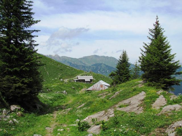 wir haben die Walenalp erreicht