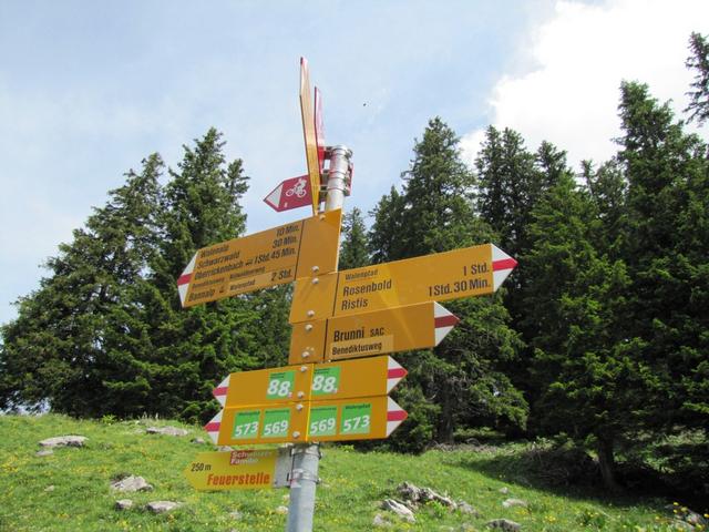 weiter auf dem Walenpfad geht es nun Richtung Brunnihütte