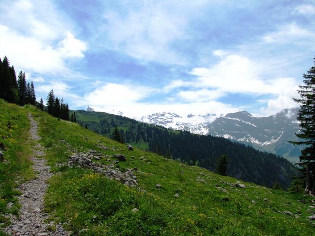 bei Steinig Stalden 1695 m.ü.M. erscheint plötzlich ein Bergriese vor uns, der Titlis