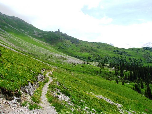 auf der Alp Ober-Stoffelberg bei Punkt 1806 m.ü.M.