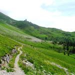 auf der Alp Ober-Stoffelberg bei Punkt 1806 m.ü.M.