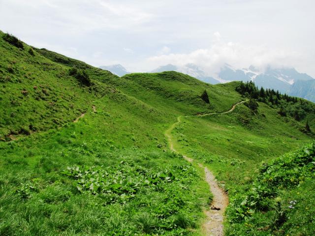 auf einfachem Wanderweg geht es weiter Richtung Sädelegg