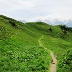 auf einfachem Wanderweg geht es weiter Richtung Sädelegg