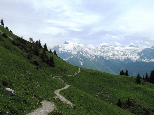 der Bergweg wird breiter, noch ein paar Schritte und wir haben die Brunnihütte erreicht