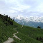 der Bergweg wird breiter, noch ein paar Schritte und wir haben die Brunnihütte erreicht