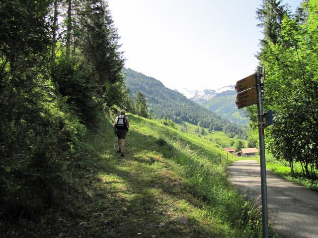 bei Punkt 945 m.ü.M. verlässt man die Asphaltstrasse