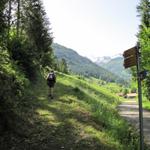 bei Punkt 945 m.ü.M. verlässt man die Asphaltstrasse