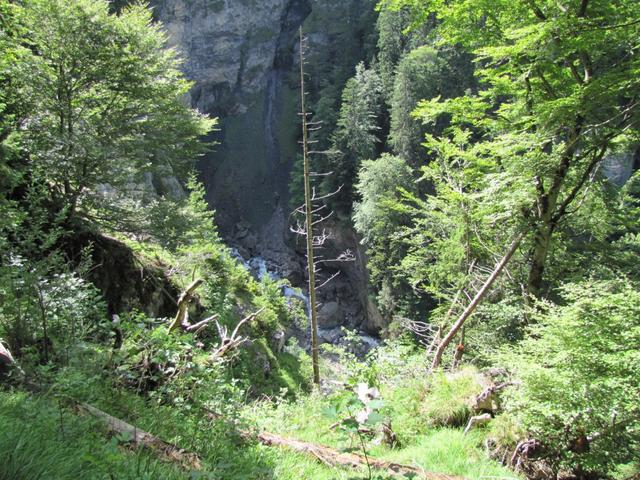 tief unter uns die Schlucht des Spiggebach