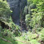 tief unter uns die Schlucht des Spiggebach