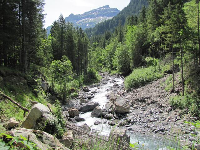 wir haben den Wanderweg auf der orographisch rechten Seite des Spiggebach genommen