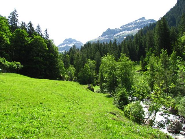 teilweise ist der Weg nicht ersichtlich. Ist aber kein Problem. Rechts ist der Spiggebach