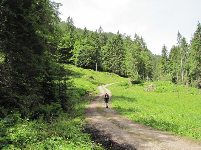 auf dem Weg zur Alp Schwand