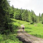 auf dem Weg zur Alp Schwand