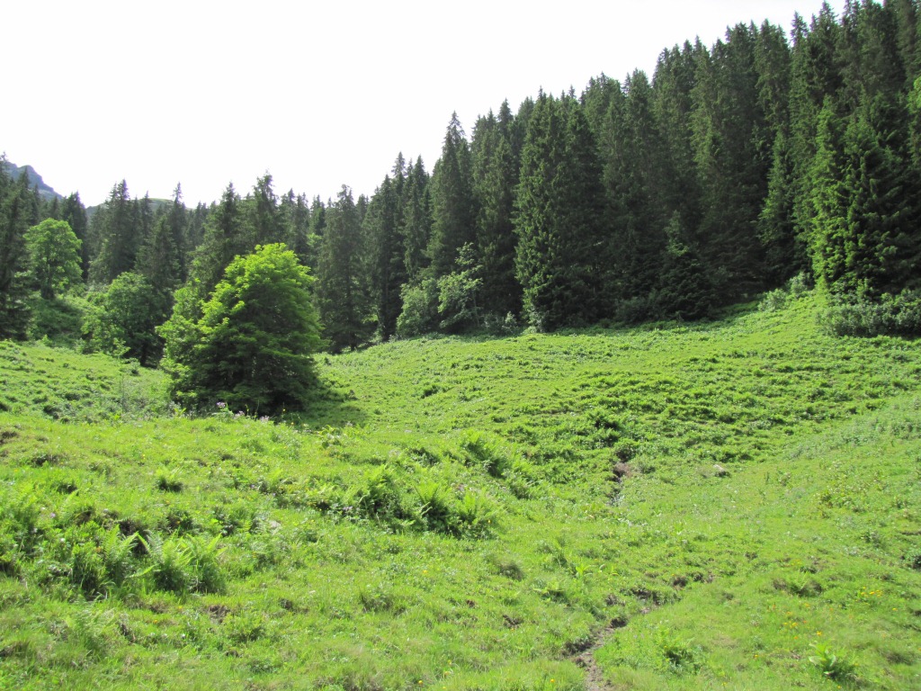 auf dem Weg nach Mittelberg. Der Weg wird nun steiler