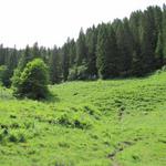 auf dem Weg nach Mittelberg. Der Weg wird nun steiler