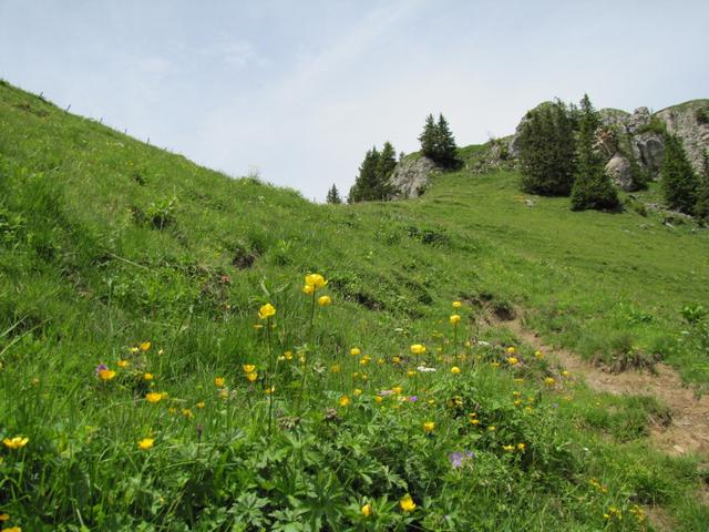 wir haben den Übergang bei Chanzel 1885 m.ü.M. erreicht