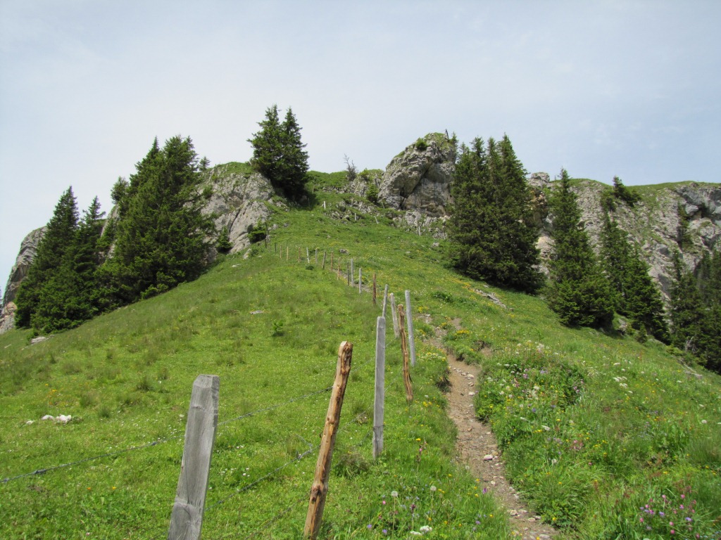 unterhalb vom Abendberg/Abeberg