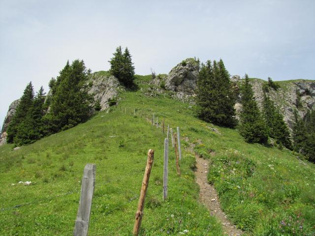 unterhalb vom Abendberg/Abeberg