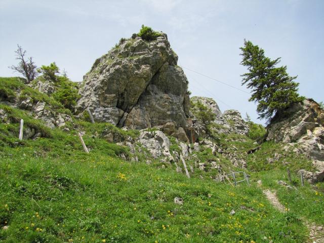 Blick zur Kanzel