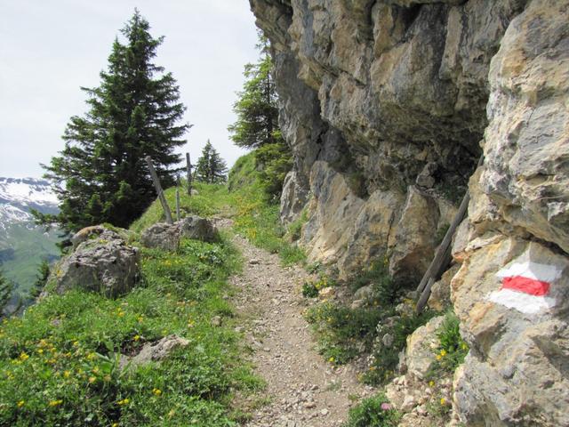 ein schöner Bergweg führt uns durch die Kanzel