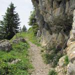 ein schöner Bergweg führt uns durch die Kanzel