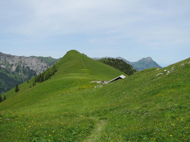 der Abendberg/Abeberg ist erreicht.  Blick auf die höchste Erhebung 1964 m.ü.M.