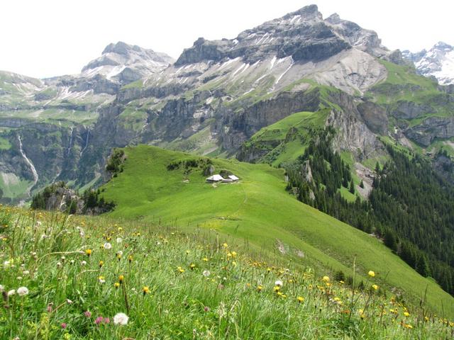 auf einer Bergspitze Alpweiden und eine Alphütte, sieht man selten