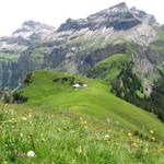 auf einer Bergspitze Alpweiden und eine Alphütte, sieht man selten