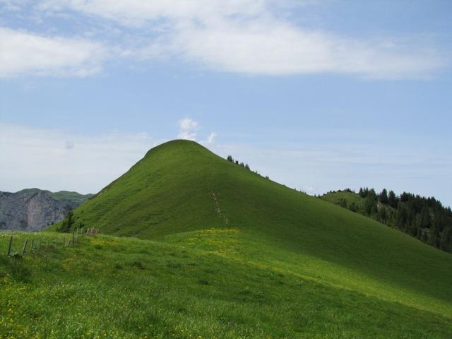 letzer Blick zum Gipfel des Abendberg/Abeberg