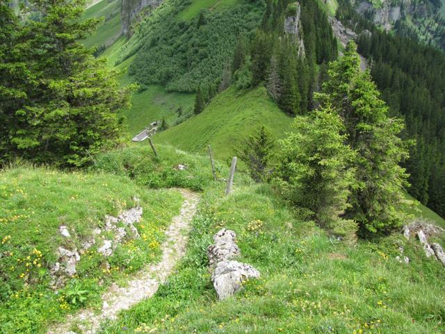 wir haben den Abendberg/Abeberg verlassen und befinden uns nun bei der Chanzel