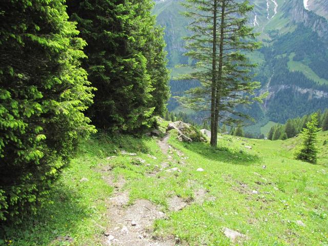 bei so einem schönen Wanderweg, merkt man gar nicht, das es steil abwärts geht