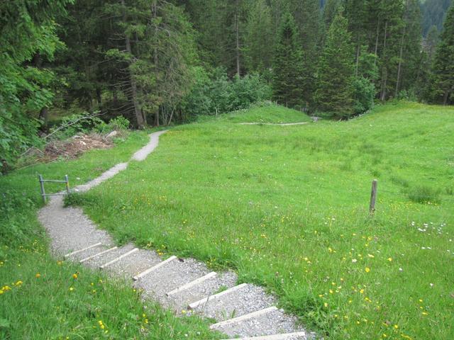 auf dem Weg zur Pochtenalp