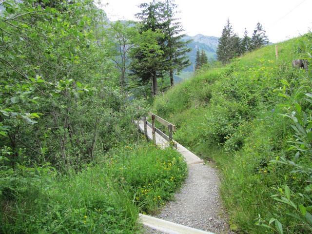 ein schöner Wanderweg führt uns in die Schlucht hinunter