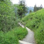 ein schöner Wanderweg führt uns in die Schlucht hinunter