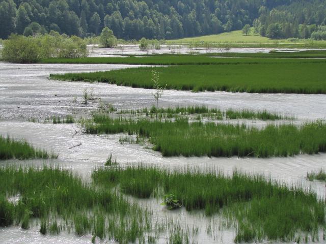 nach einem Unwetter entstand vor 40 Jahren über Nacht der Tschingelsee, der aber langsam verlandet