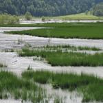 nach einem Unwetter entstand vor 40 Jahren über Nacht der Tschingelsee, der aber langsam verlandet