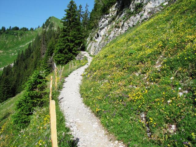 unser Weg führt uns nach Oberstocke