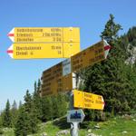 Wegweiser bei der Oberstockenalp 1785 m.ü.M.