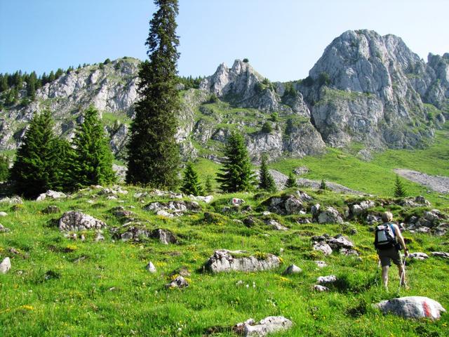 Blick von der Oberstockenalp auf die Strüssliflue. Dort hinauf geht es