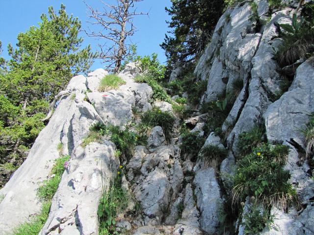 das Stockhorn ist ein Kalkgebirge, hier gut ersichtlich