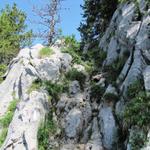 das Stockhorn ist ein Kalkgebirge, hier gut ersichtlich